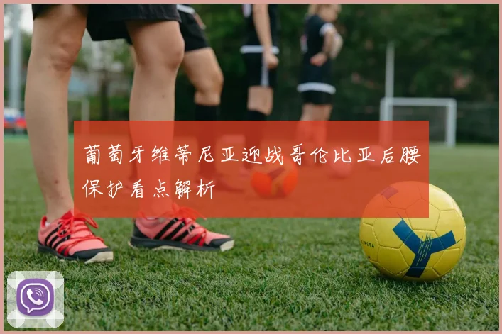 葡萄牙维蒂尼亚迎战哥伦比亚后腰保护看点解析
