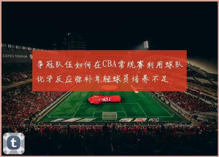 争冠队伍如何在CBA常规赛利用球队化学反应弥补年轻球员培养不足