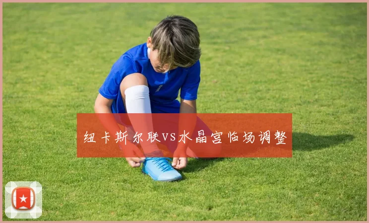 纽卡斯尔联vs水晶宫临场调整