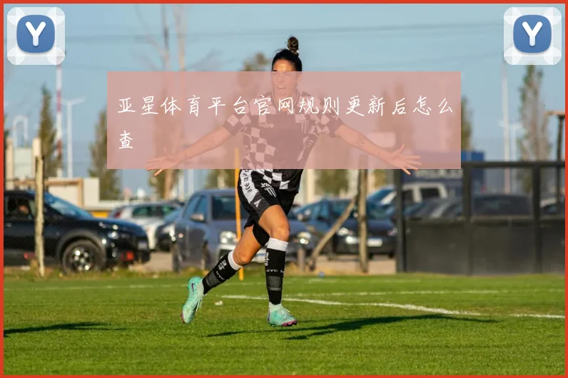 亚星体育平台官网规则更新后怎么查